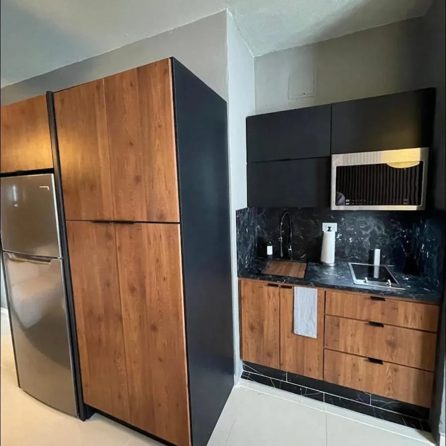 Moderno Apartamento Para Parejas San Juan Puerto Rico Apartment